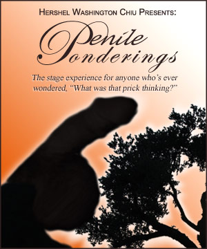 Penile Ponderings poster